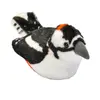 Image de Oiseau avec argile Pivert - Pivert