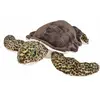 Image de Wild Republic - Animaux en peluche - Cuddlekins - Tortue de mer verte