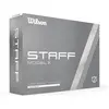 Image de Balles de golf Wilson Staff Model (x12) Argenté TU WG2007601+