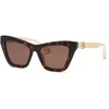 Image de Roberto Cavalli Femme Roberto Cavalli SRC091M 743Y Lunettes de soleil Acétate Havane Marron Cat Eye Normale