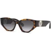 Image de Philipp Plein Femme Philipp Plein SPP161 PLEIN CAPTURE 722 Lunettes de soleil Acétate Havane Fumée Cat Eye Normale Ombré