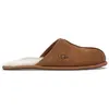 Image de UGG Scuff, pantoufle, couleur marron noisette - Taille européenne 49,5