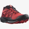 Image de Chaussures Salomon Pulsar Trail 416029