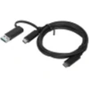 Image de Lenovo 4X90U90618 câble USB USB 3.2 Gen 1 (3.1 Gen 1) 1 m USB A/USB C USB C Noir