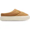 Image de Converse CTAS Elements Mule Low Femme - Tongues et Sandales, Beige - Taille 36.5 - Nylon