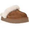 Image de Ugg W Disquette Couleur Marron