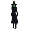 Image de Poupée Wicked avec son Elphaba chantante *Version allemande*