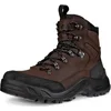 Image de Chaussures Ecco Offroad Mid 82243459325