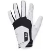 Image de Gants de golf pour droitier Under Armour Iso-Chill Noir LSM 1370277-001