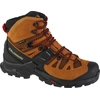 Image de Chaussures Salomon Quest 4 Gtx 471564