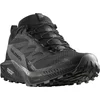 Image de Chaussures Salomon Sense Ride 5 Gtx 471472