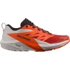Image de Salomon Chaussures Sense Ride 5, L47046200