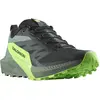 Image de Chaussures Salomon Sense Ride 5 473111