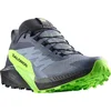 Image de Chaussures Salomon Sense Ride 5 Gtx 473128