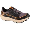Image de Chaussures Salomon Thundercross Gtx W 476847