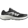 Image de Chaussures Salomon Alphaglide L47801000