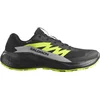 Image de Chaussures Salomon Alphaglide Gtx 478020