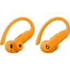 Image de Apple Powerbeats Pro 2