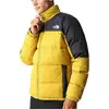 Image de Manteau The North Face NF0A4M9J81U1 pour Homme