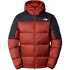 Image de Veste The North Face Diablo sweat a capuche en duvet NF0A4M9LWEW1