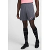 Image de Short Nike FN2401-069 pour Homme