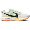 Image de Chaussures de running Nike DX1978-102 pour Homme