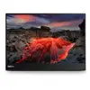 Image de Lenovo ThinkVision M14t Gen 2 Moniteur - Neuf