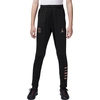 Image de Nike Paris Saint-Germain Strike Trainingshose Kinder
