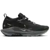 Image de Nike PEGASUS TRAIL 5 GORE-TEX FEMME NOIR 8.5