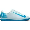 Image de Chaussures de salle Nike FQ8289-400 pour Garçon