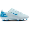 Image de Chaussures Nike Vapor 16 Club FQ8286