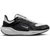 Image de Chaussures Nike Pegasus 41 FQ1357