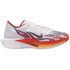 Image de Chaussures de running Nike HQ3504-100 pour Homme