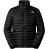Image de Veste The North Face NF0A85AE4GZ1 pour Uni