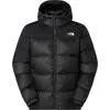 Image de Veste The North Face NF0A8992GOC1 pour Homme