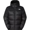 Image de Vestes The North Face NF0A8992GOC1