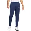 Image de Jogging Nike HJ3776-410 pour Homme