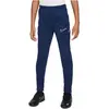 Image de Jogging Nike HJ3720-410 pour Enfant