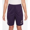 Image de Nike Km K Nk Df Acd25 Short -Pd Grand Purple/Grand Purple/Meta Grand Purple/Grand Purple/Meta M