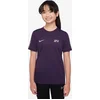 Image de Nike Km K Nk Df Acd25 Top Ss -Pd Grand Purple/Grand Purple/Meta Grand Purple/Grand Purple/Meta M