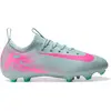 Image de Buty Nike Junior Mercurial Vapor 16 Academy FG/MG FQ8392-301 36