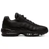Image de Chaussures Nike Air Max 95 Essential HM8755001