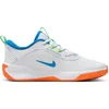 Image de Chaussures Nike Omni Multi-court DM9027