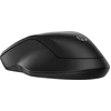 Image de HP 255 Dual Wireless Mouse