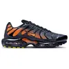 Image de Chaussures Nike Air Max Plus DM0032025