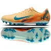Image de Chaussures de football Nike Zoom Mercurial Vapor 16 Academy KM AG, modèle FQ8365-801, taille 44 1/2
