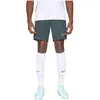 Image de Short Nike HJ3796-390 pour Homme