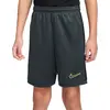 Image de Short Nike Dri-FIT Academy 25 Kinder