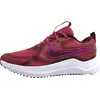 Image de Chaussures de running Nike HM4402-603 pour Enfant