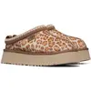 Image de UGG Tazz PLAINS 1177890-FDJ